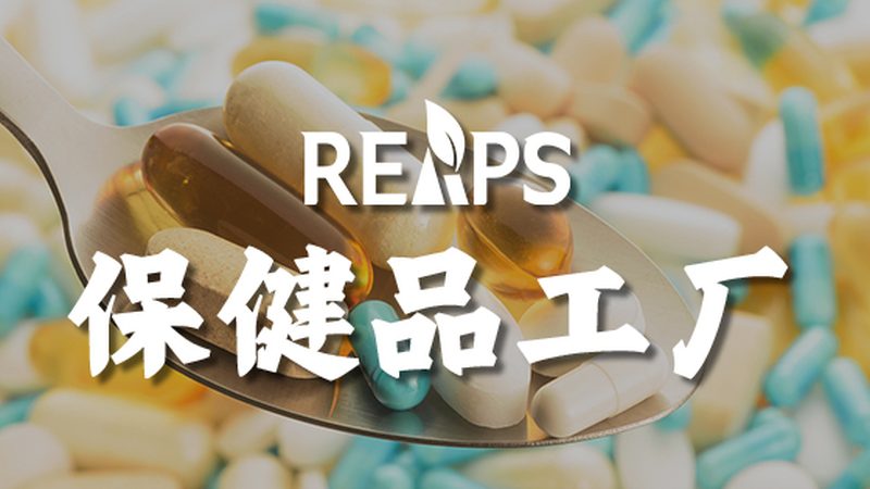 行业现状：从“跟风”到“专业